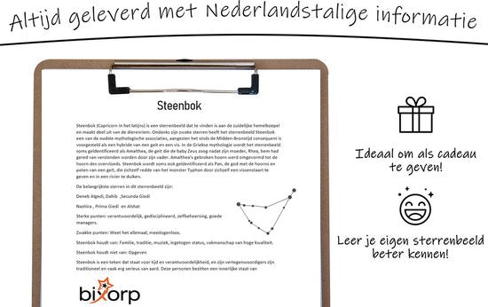 Bixorp Stars 5 Steenbok / Capricorn sieraden Zilverkleurig - Set van Sterrenbeeld Ketting + Oorbel + Armband