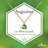 Bixorp Gems Geboortesteen Ketting Augustus - Peridoot - Zirkona Hanger aan Goudkleurige Ketting - 45 + 5cm - Cadeau voor vrouwen